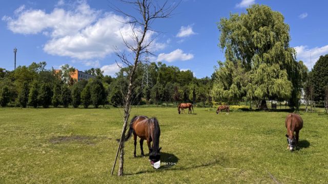 Mieszkanie 2-pokojowe Sosnowiec Centrum, ul. rtm. Witolda Pileckiego. Zdjęcie 18