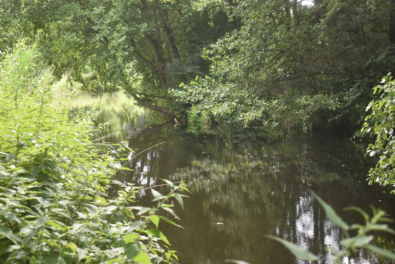 dom wolnostojący Sądów. Zdjęcie 5