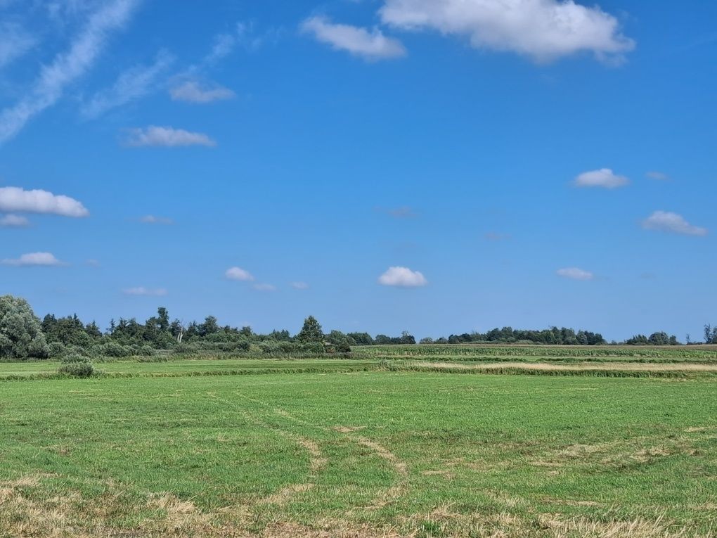 Działka rolna Smuga. Zdjęcie 7