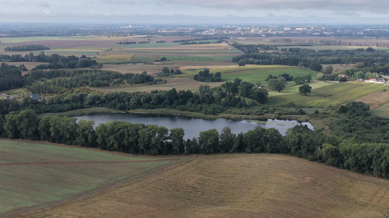 Działka inwestycyjna Kiczarowo. Zdjęcie 10