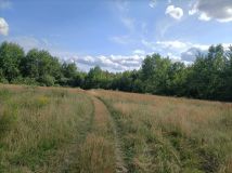 Działka rolna Rogóźno. Zdjęcie 3