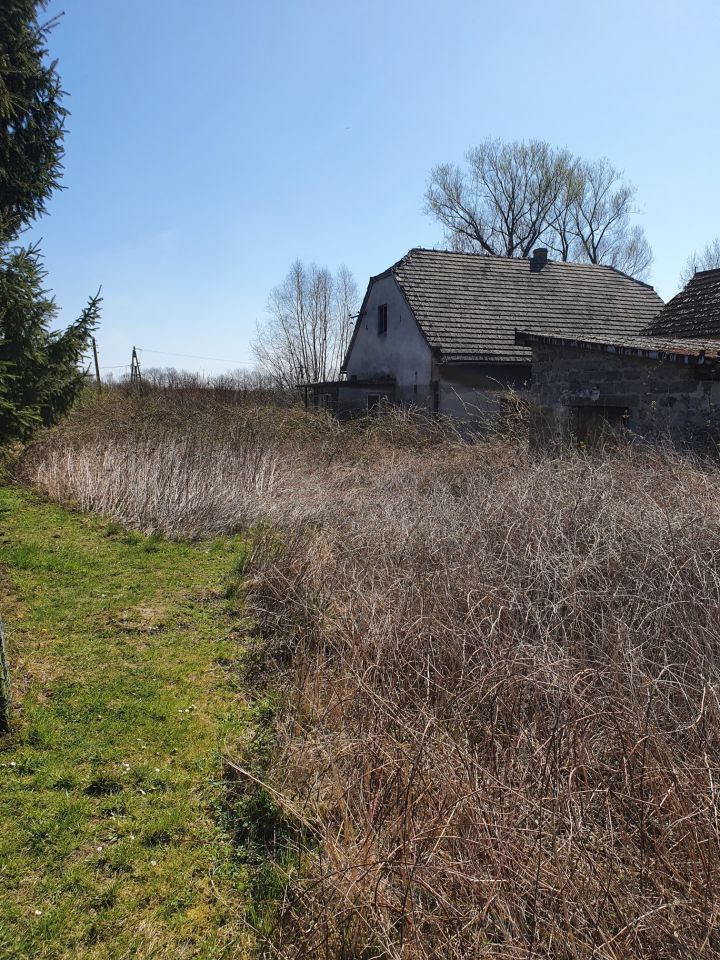 dom wolnostojący, 3 pokoje Okleśna. Zdjęcie 5