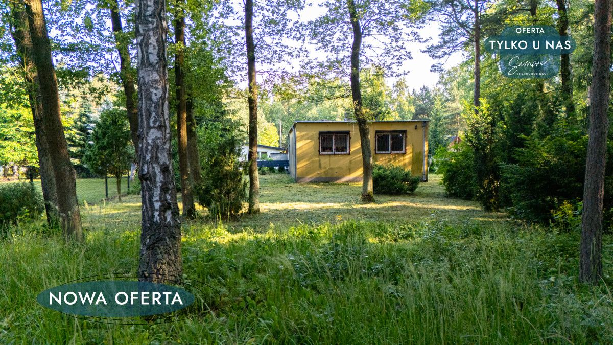 Działka inwestycyjna Sokolniki-Las, ul. Klonowa. Zdjęcie 8