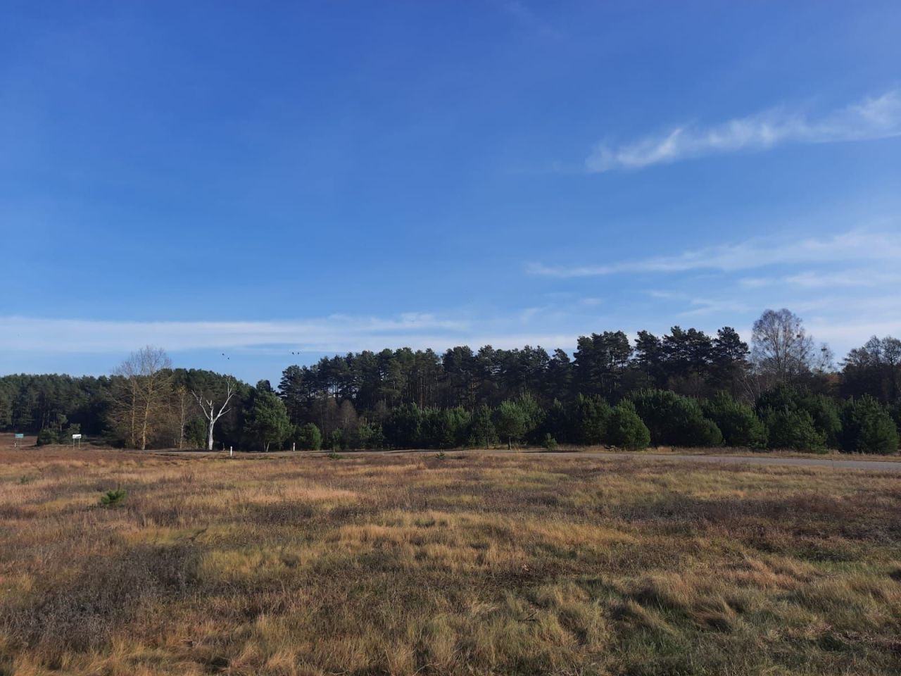 Działka inwestycyjna Luboń. Zdjęcie 8