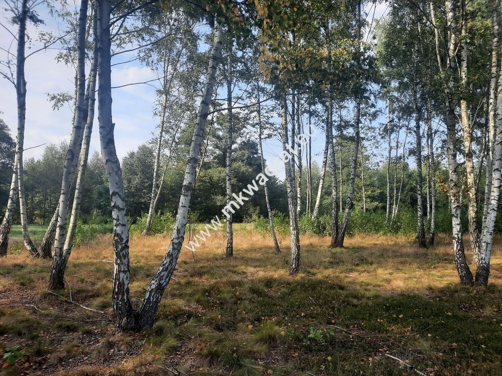 Działka Nadarzyn. Zdjęcie 1