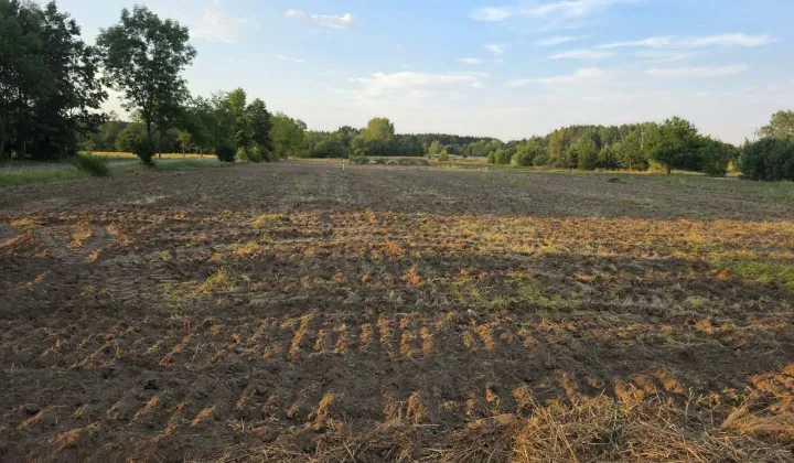 Działka budowlana Kawęczyn