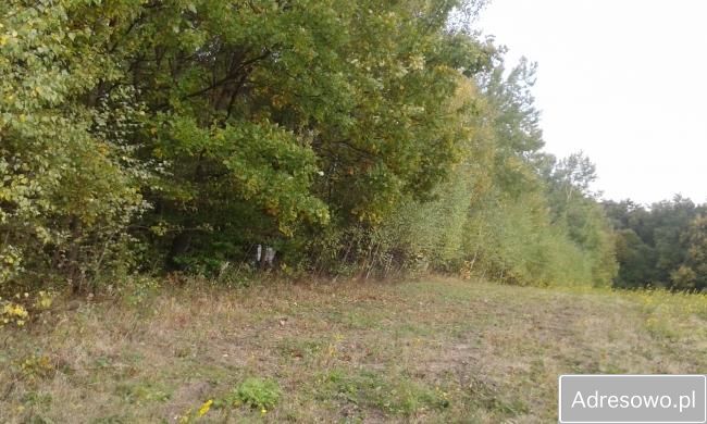 Działka Zagórzany. Zdjęcie 2