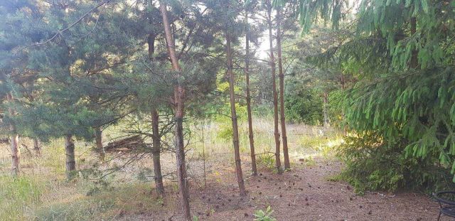 Działka budowlana Troniny. Zdjęcie 1