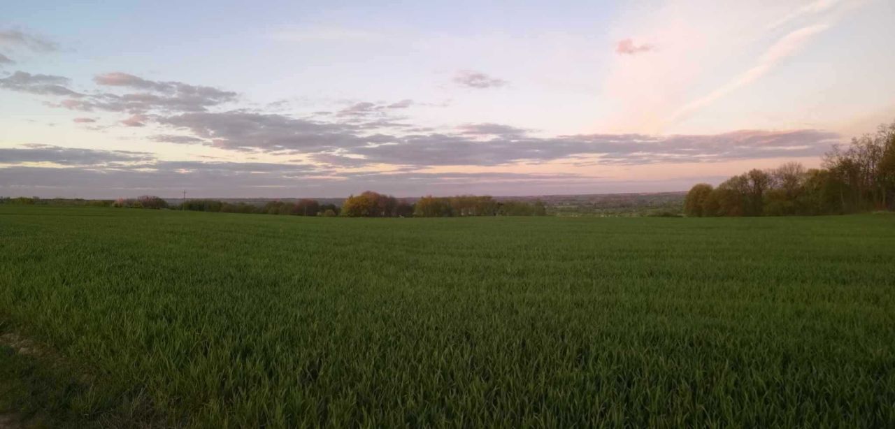 Działka budowlana Kozielec. Zdjęcie 3