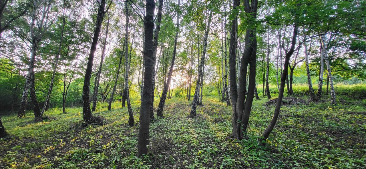 Działka budowlana Tyczyn