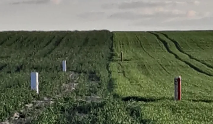 Działka budowlana Jabłonna Druga