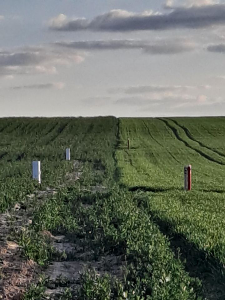 Działka budowlana Jabłonna Druga. Zdjęcie 4