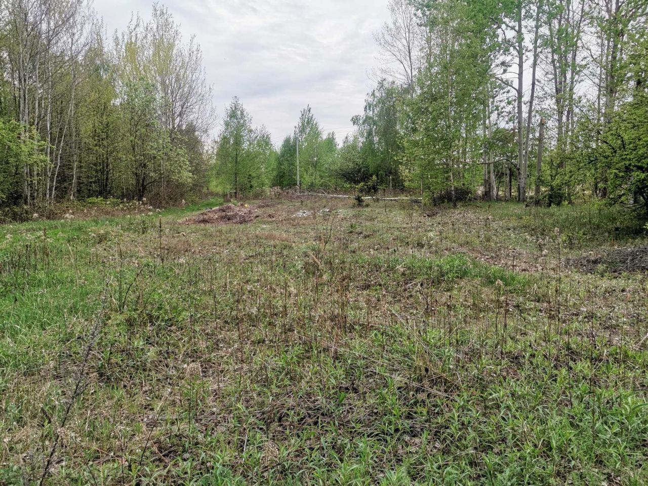 Działka budowlana Trzcinka. Zdjęcie 6