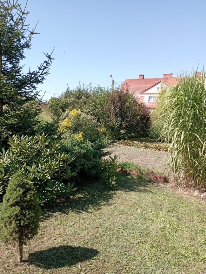 Działka rod Żary, ul. Wiśniowa. Zdjęcie 2