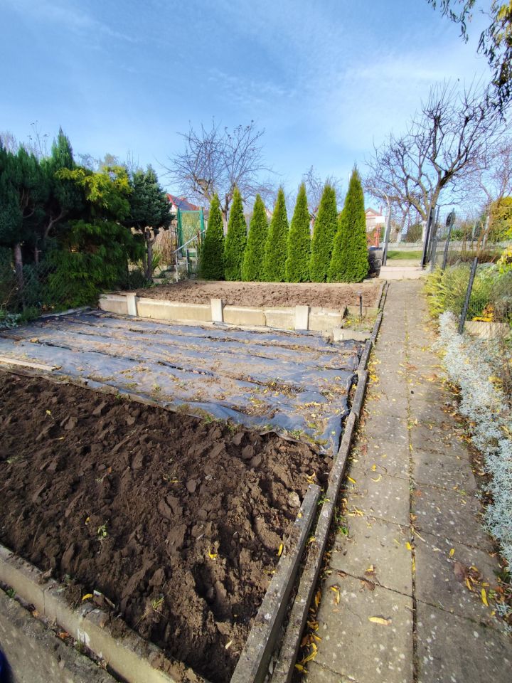 Działka rod Słupsk Zatorze, ul. Józefa Piłsudskiego. Zdjęcie 11