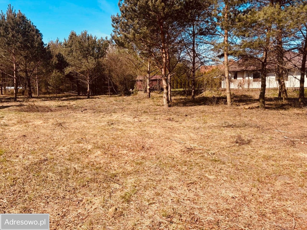 Działka budowlana Ostrów Mazowiecka, ul. Romualda Traugutta. Zdjęcie 4