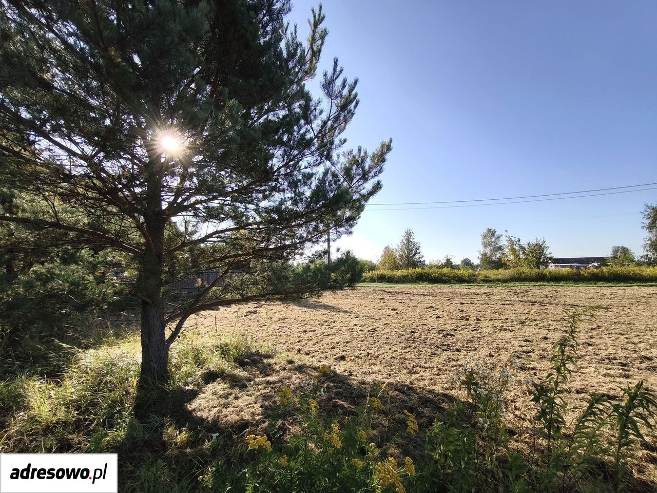 Działka budowlana Kazimierów, ul. Agrestowa. Zdjęcie 7