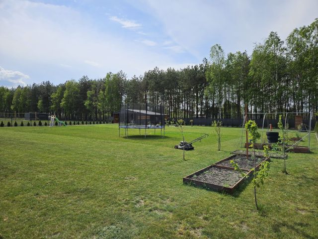 Działka rolno-budowlana Kaszewice-Kolonia. Zdjęcie 1