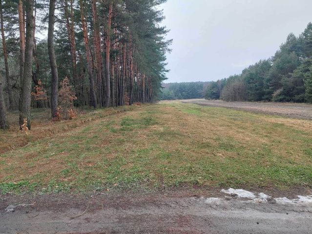 Działka rolna Podchybie. Zdjęcie 1