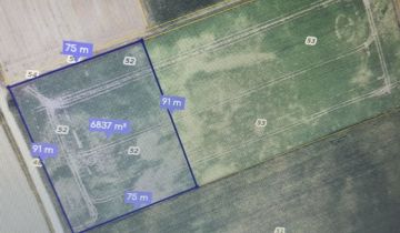 Działka rolna Zalesie