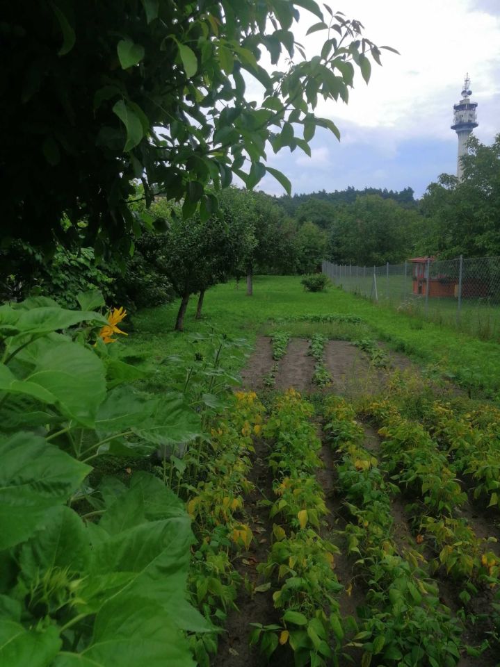 Mieszkanie 3-pokojowe Żerków. Zdjęcie 5