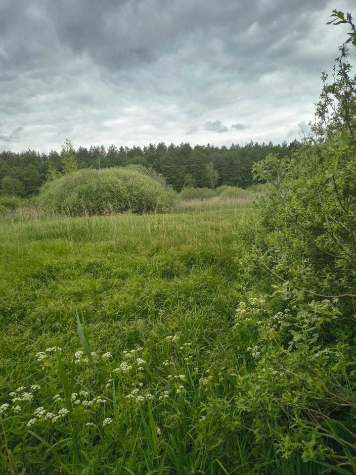 Działka rolna Fiałki. Zdjęcie 4
