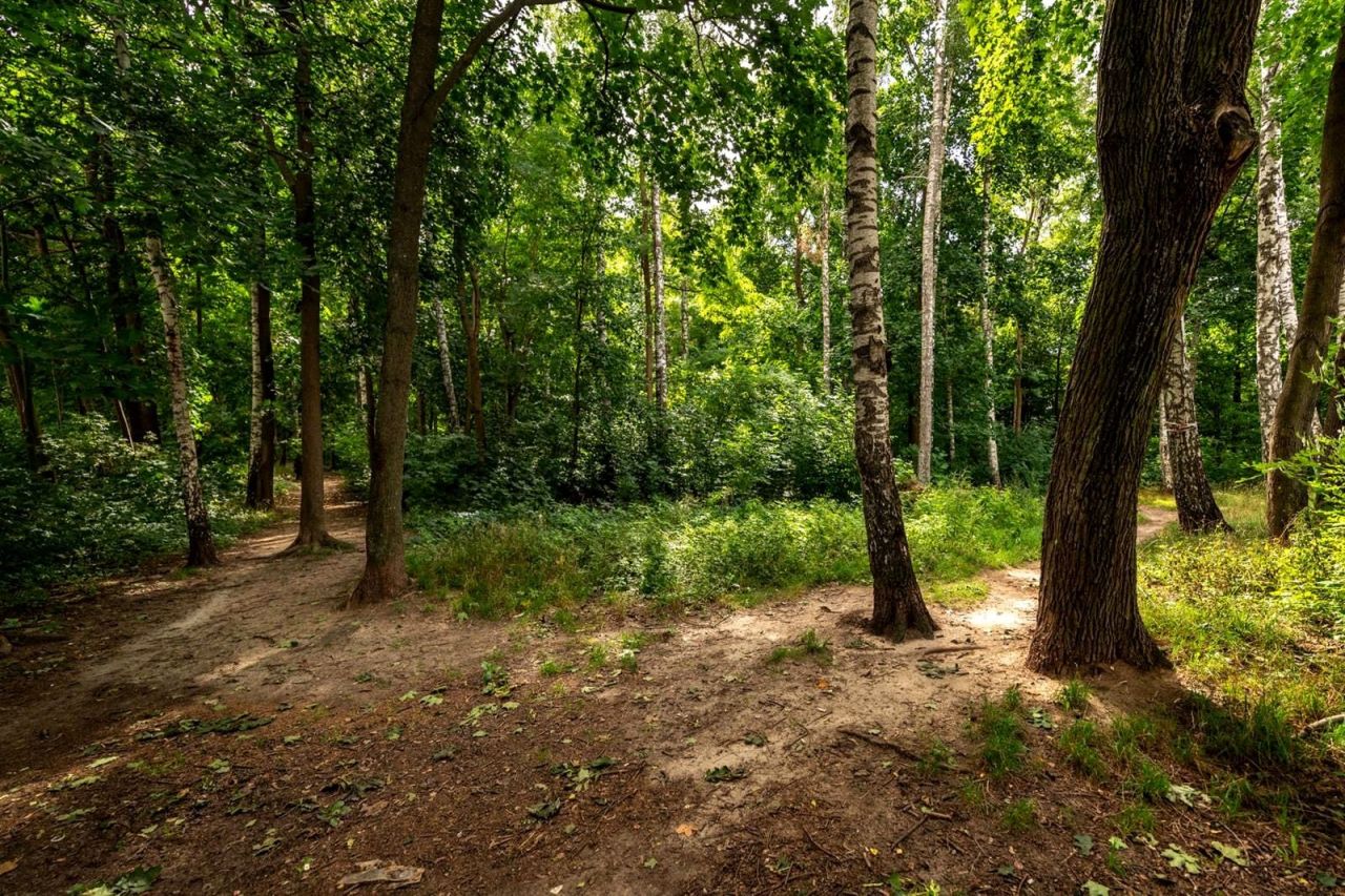 Mieszkanie 3-pokojowe Olsztyn, ul. Dywizjonu 303. Zdjęcie 14