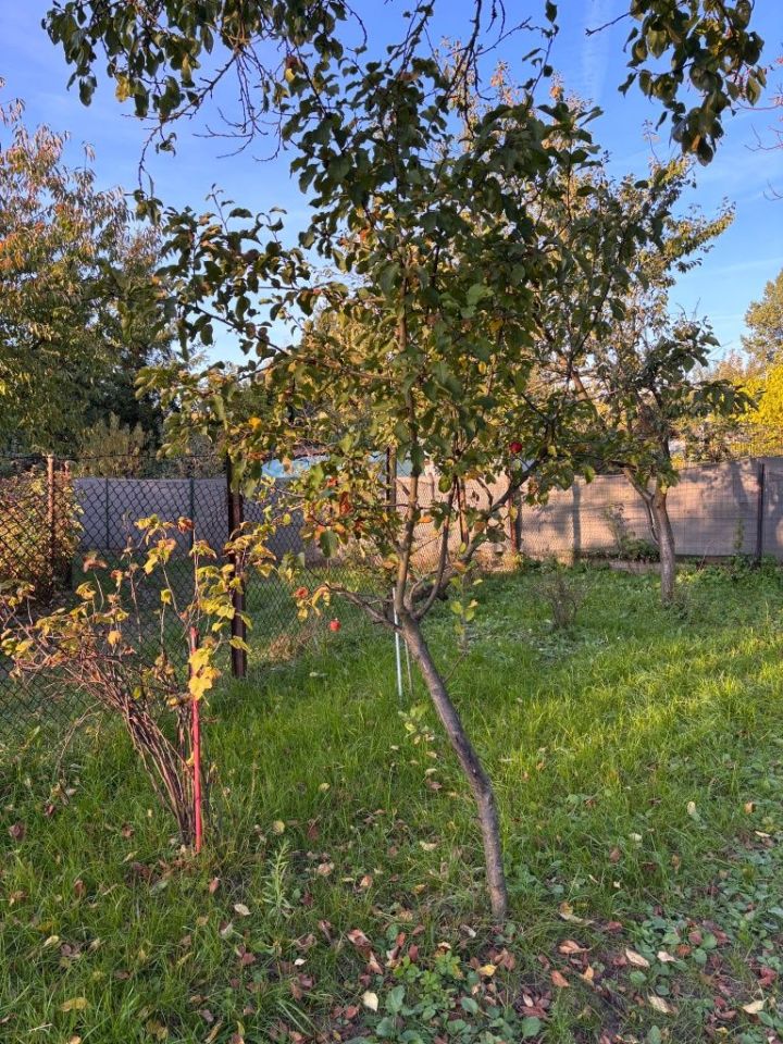 Działka rod Sosnowiec Dębowa Góra, ul. Stanisława Mikołajczyka. Zdjęcie 6