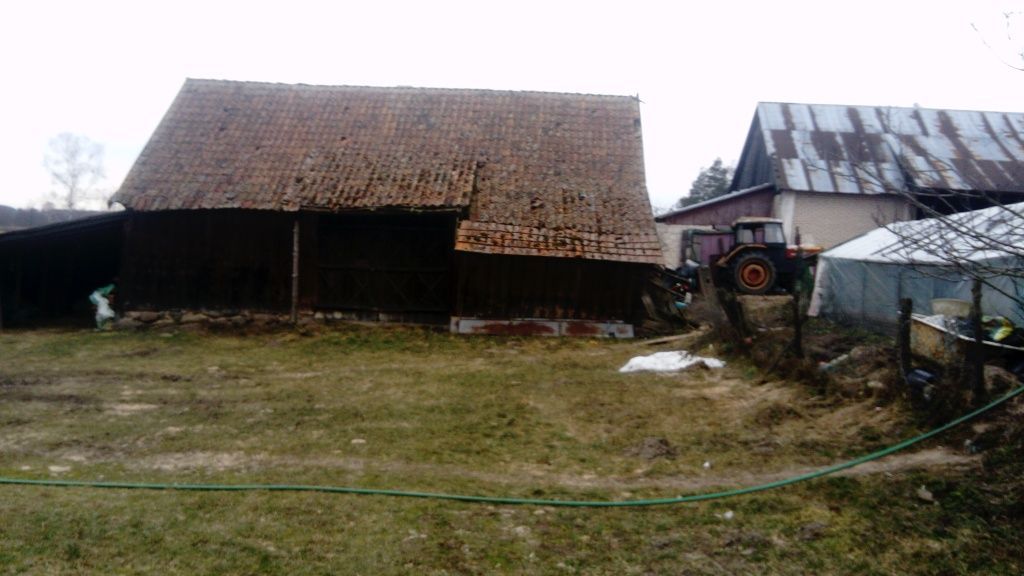 gospodarstwo Dobrzyniówka. Zdjęcie 5
