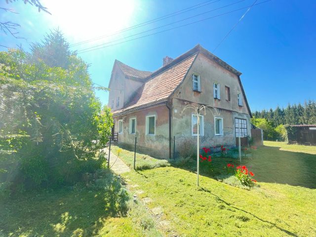 Działka inwestycyjna Grodziszcze. Zdjęcie 1