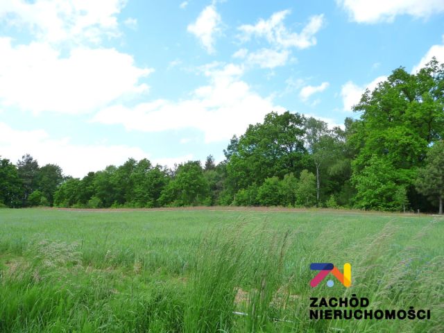 Działka rolna Drągowina. Zdjęcie 1