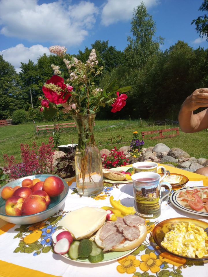 Działka siedliskowa Wyględówek. Zdjęcie 3