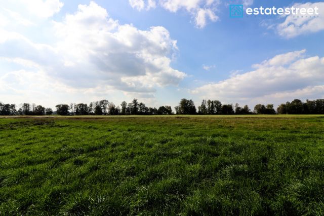 Działka budowlana Cholerzyn. Zdjęcie 6