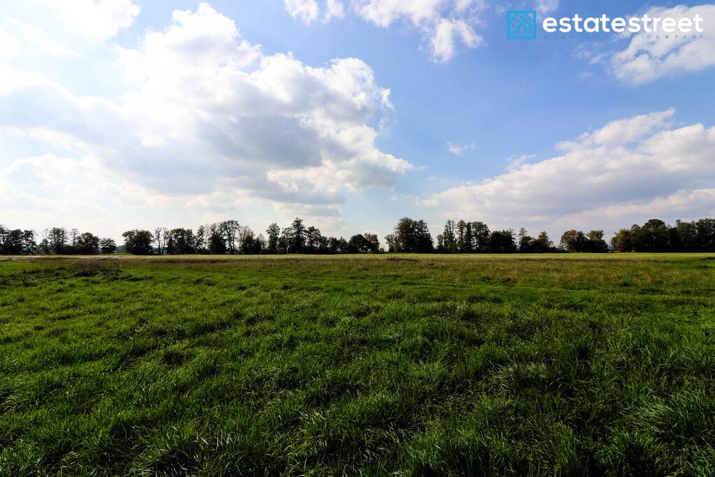 Działka budowlana Cholerzyn. Zdjęcie 6