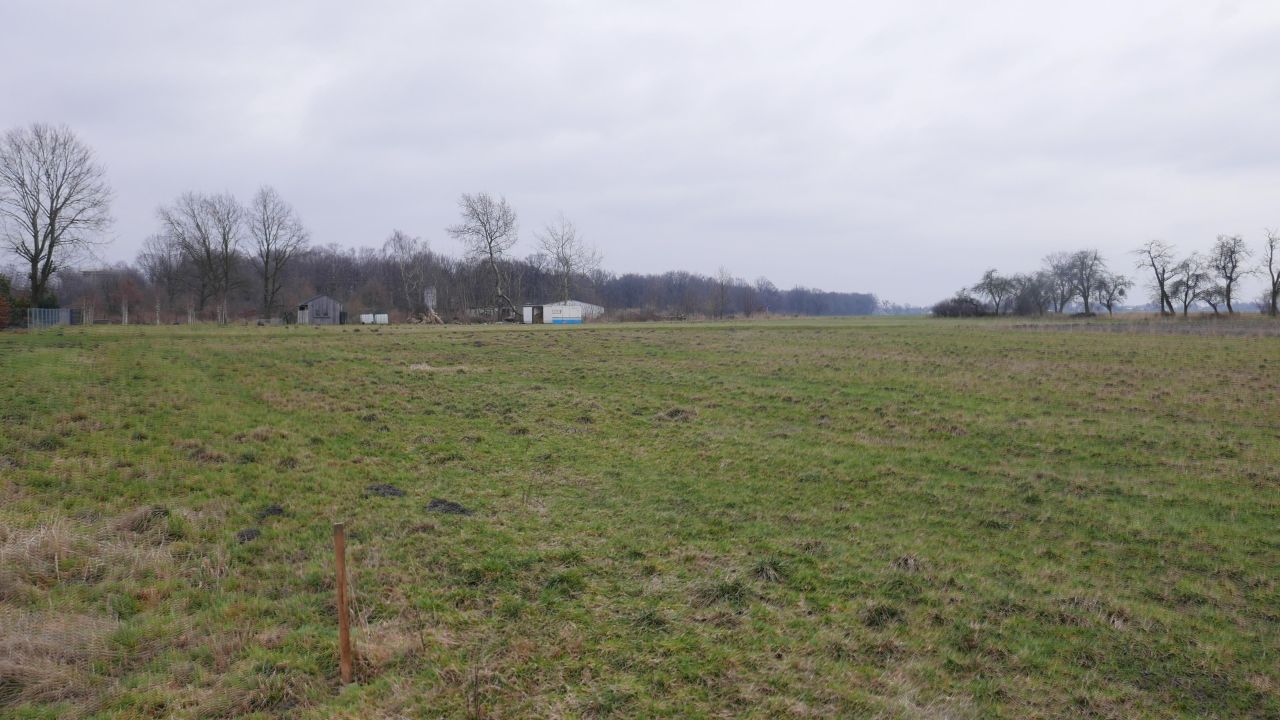 Działka rolna Mikołów Paniowy, ul. Kąty. Zdjęcie 3