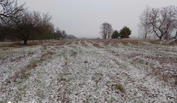 Działka rolno-budowlana Dęborzeczka