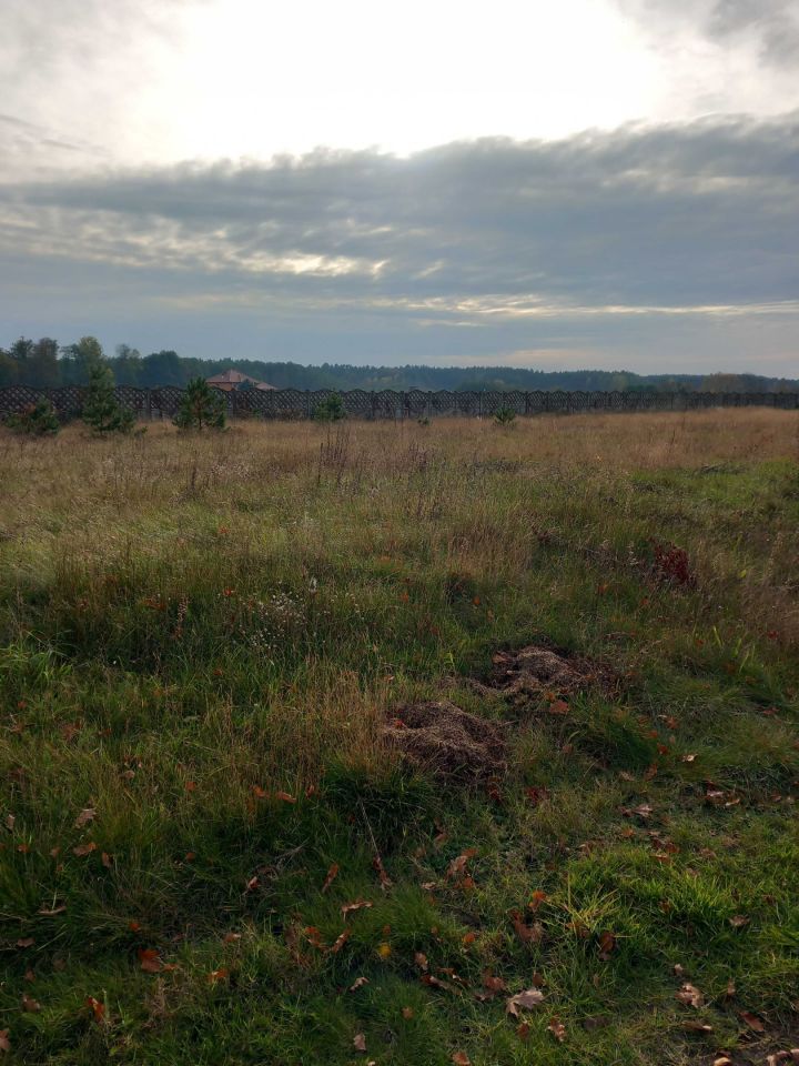 Działka budowlana Zabierzewo. Zdjęcie 7