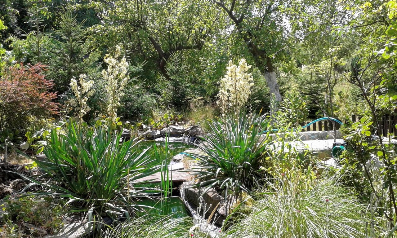 Działka rod Legnica, ul. Chojnowska. Zdjęcie 9