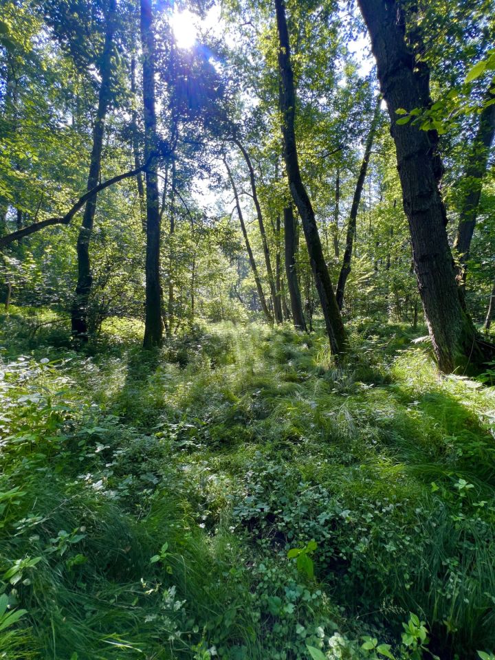 Działka budowlana Pszów, Pszów. Zdjęcie 21