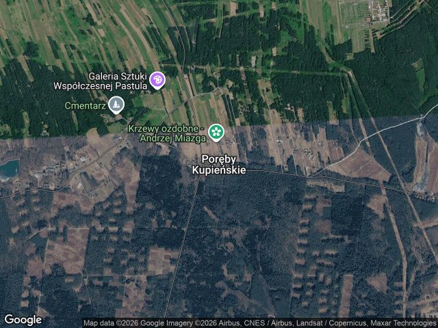 Działka leśna Poręby Kupieńskie. Zdjęcie 1