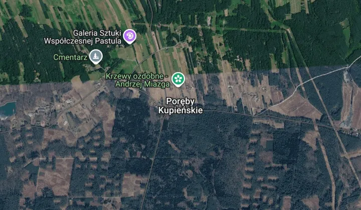 Działka leśna Poręby Kupieńskie