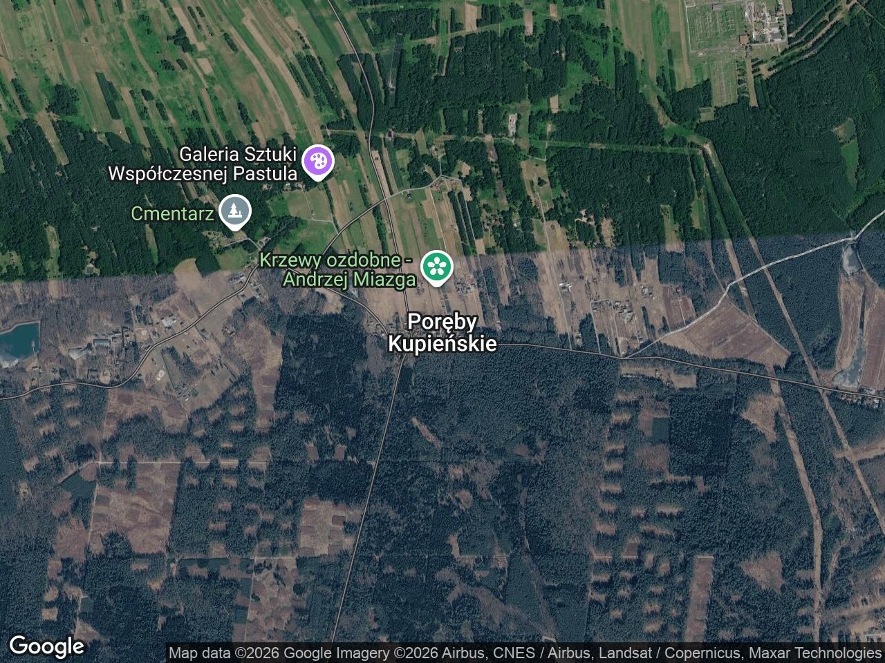 Działka leśna Poręby Kupieńskie. Zdjęcie 1