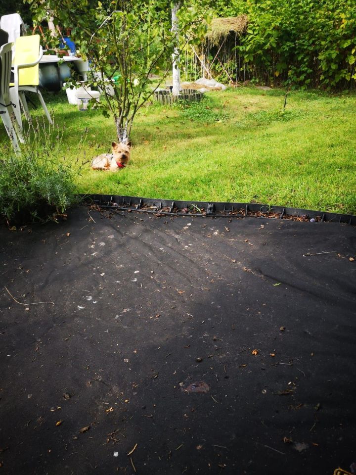 Działka rod Wrocław Fabryczna, ul. Francuska. Zdjęcie 5