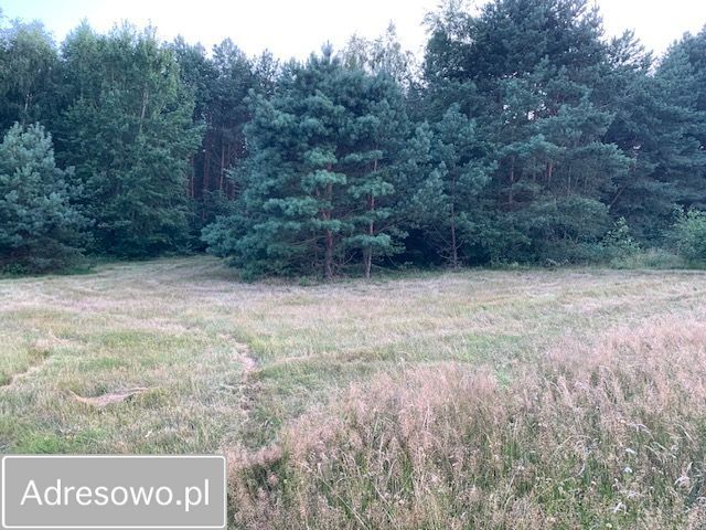Działka rolna Rzystnowo. Zdjęcie 7