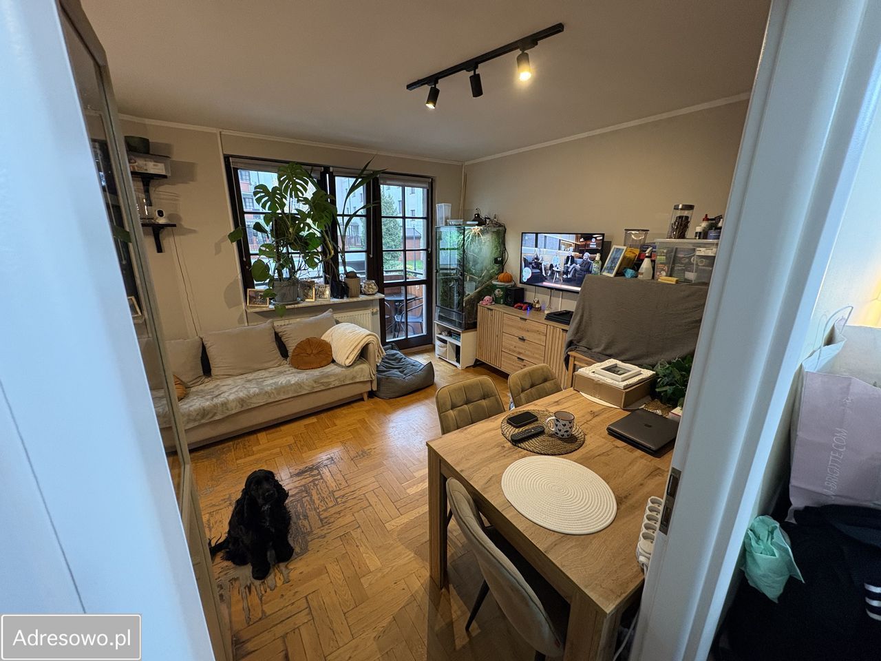 Mieszkanie 2-pokojowe Warszawa Tarchomin, ul. Józefa Mehoffera. Zdjęcie 6