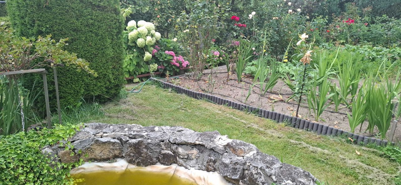 Działka rod Częstochowa Błeszno. Zdjęcie 6