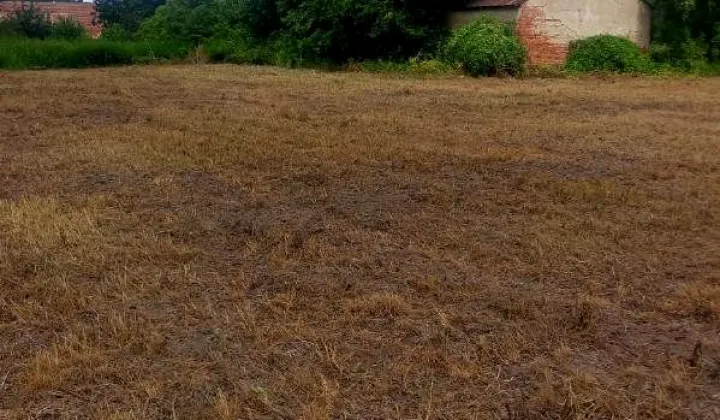 Działka budowlana Ciepłowody, ul. Szkolna