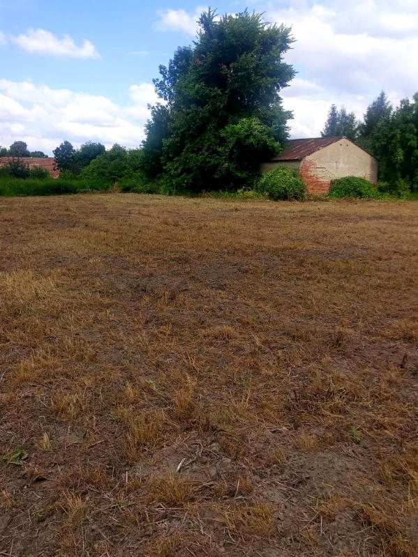 Działka budowlana Ciepłowody, ul. Szkolna. Zdjęcie 1