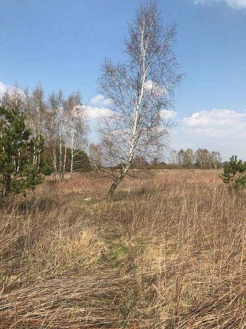 Działka budowlana Stachowo, ul. Karasia. Zdjęcie 2