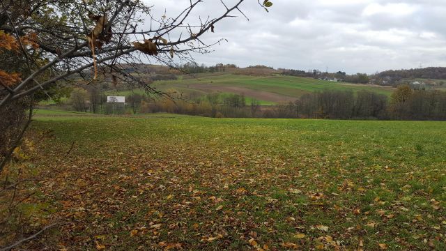 Działka rolno-budowlana Zwiernik Średniaki. Zdjęcie 1